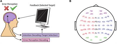 A Generic Transferable EEG Decoder for Online Detection of Error Potential in Target Selection